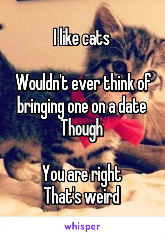 I like cats 

Wouldn't ever think of bringing one on a date 
Though 

You are right 
That's weird 