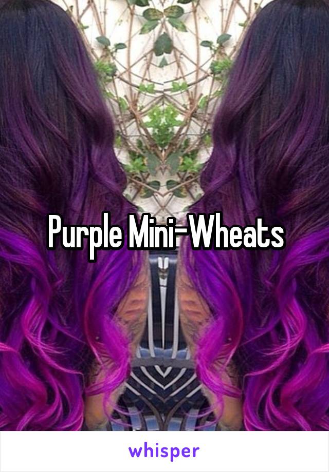 Purple Mini-Wheats