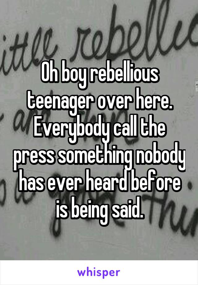 Oh boy rebellious teenager over here. Everybody call the press something nobody has ever heard before is being said.