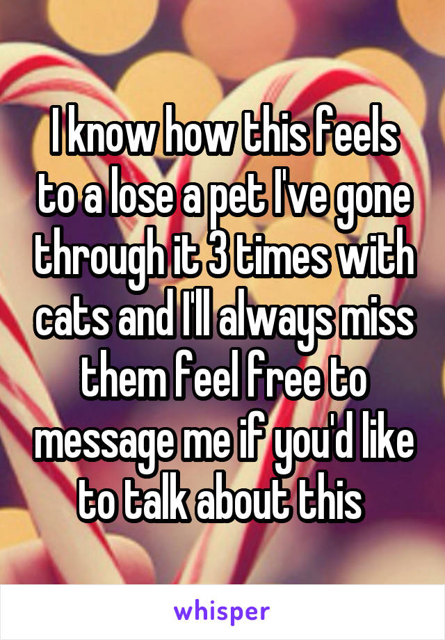 I know how this feels to a lose a pet I've gone through it 3 times with cats and I'll always miss them feel free to message me if you'd like to talk about this 