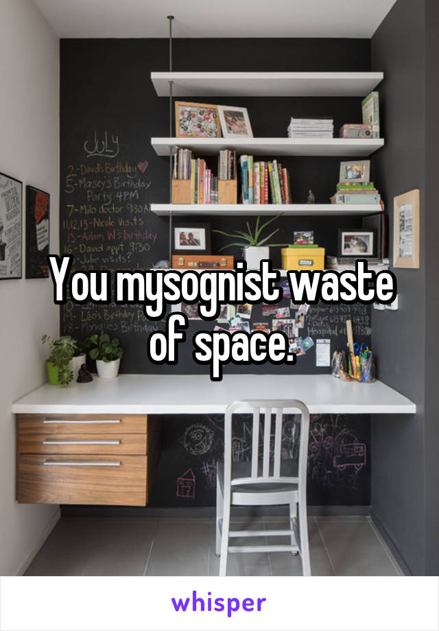 You mysognist waste of space.