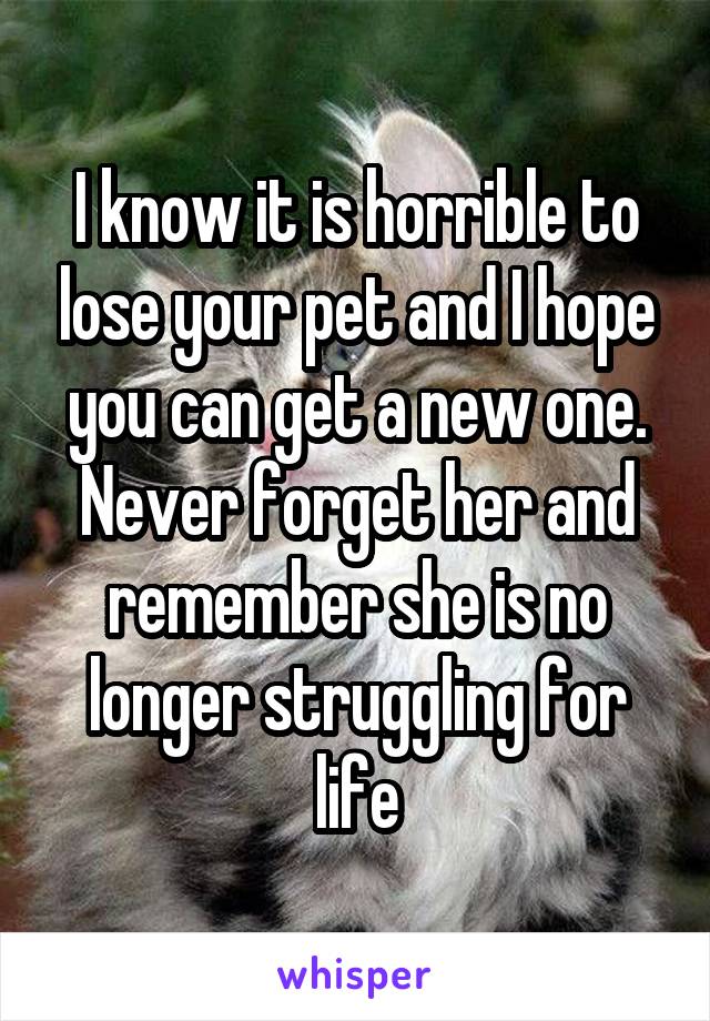 I know it is horrible to lose your pet and I hope you can get a new one. Never forget her and remember she is no longer struggling for life