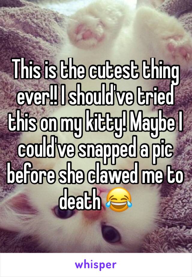 This is the cutest thing ever!! I should've tried this on my kitty! Maybe I could've snapped a pic before she clawed me to death 😂