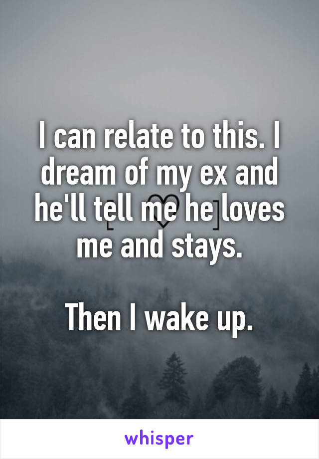 I can relate to this. I dream of my ex and he'll tell me he loves me and stays.

Then I wake up.