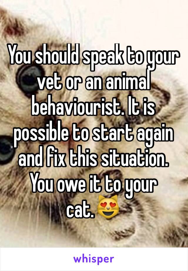 You should speak to your vet or an animal behaviourist. It is possible to start again and fix this situation. You owe it to your cat.😻