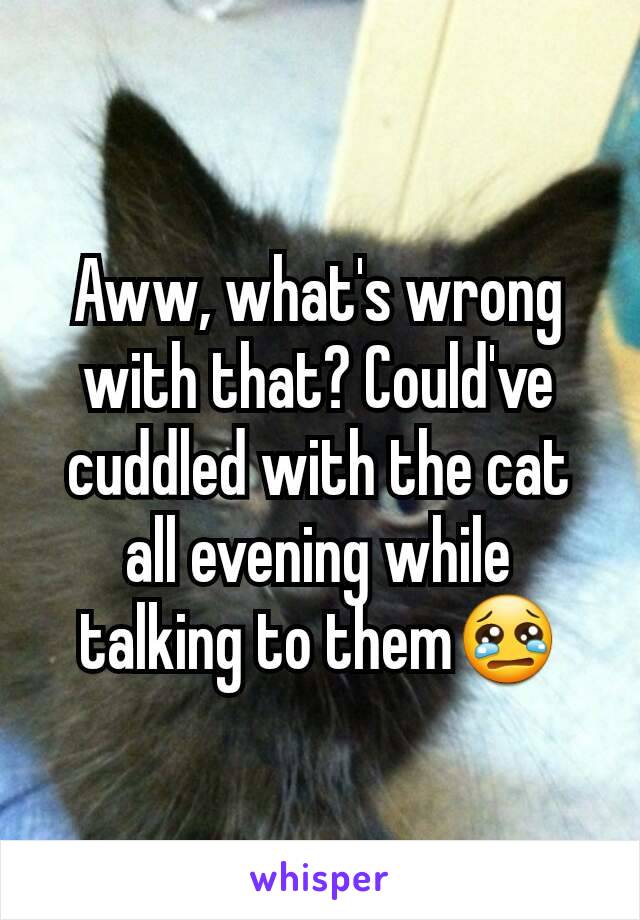 Aww, what's wrong with that? Could've cuddled with the cat all evening while talking to them😢