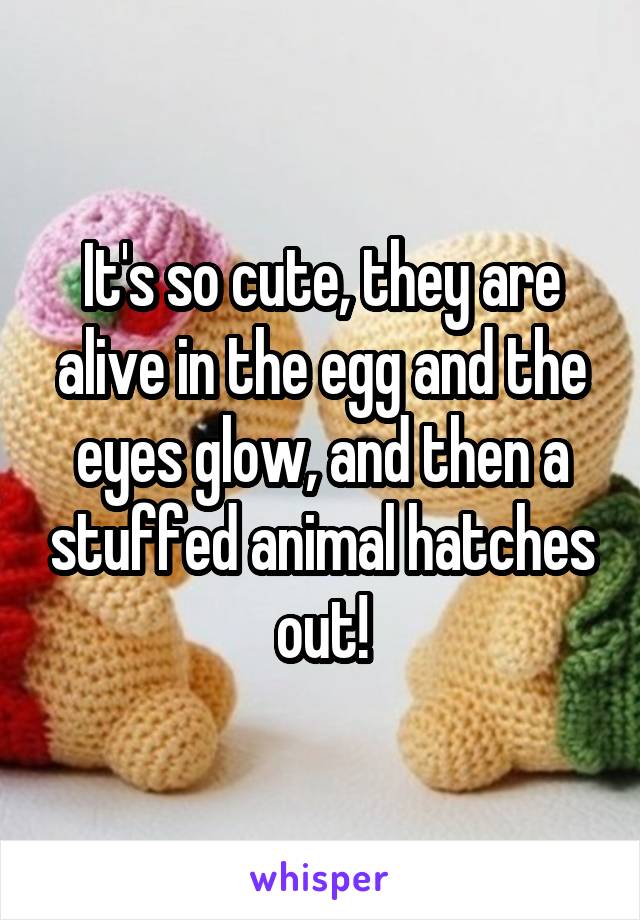 It's so cute, they are alive in the egg and the eyes glow, and then a stuffed animal hatches out!