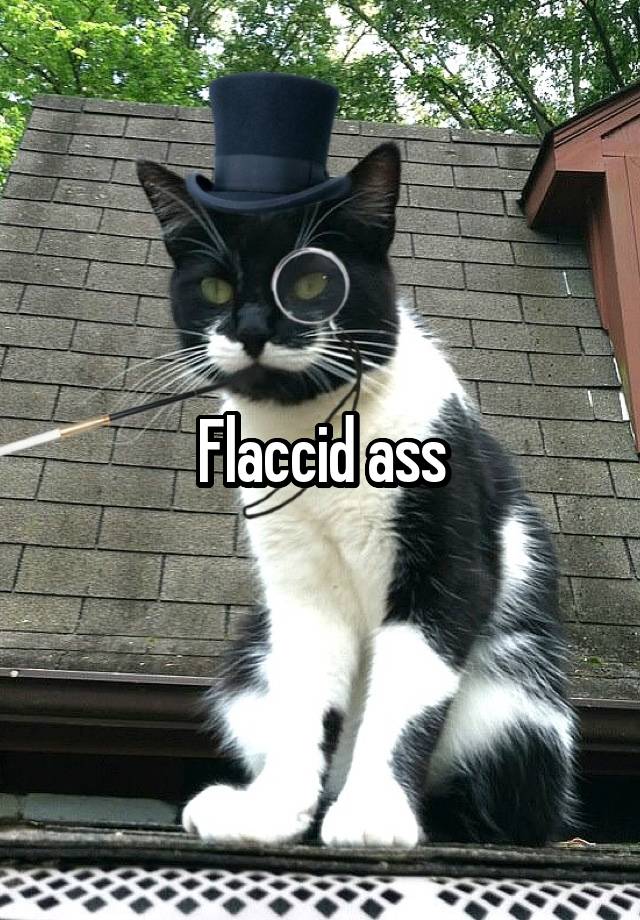 Flaccid Ass 6361