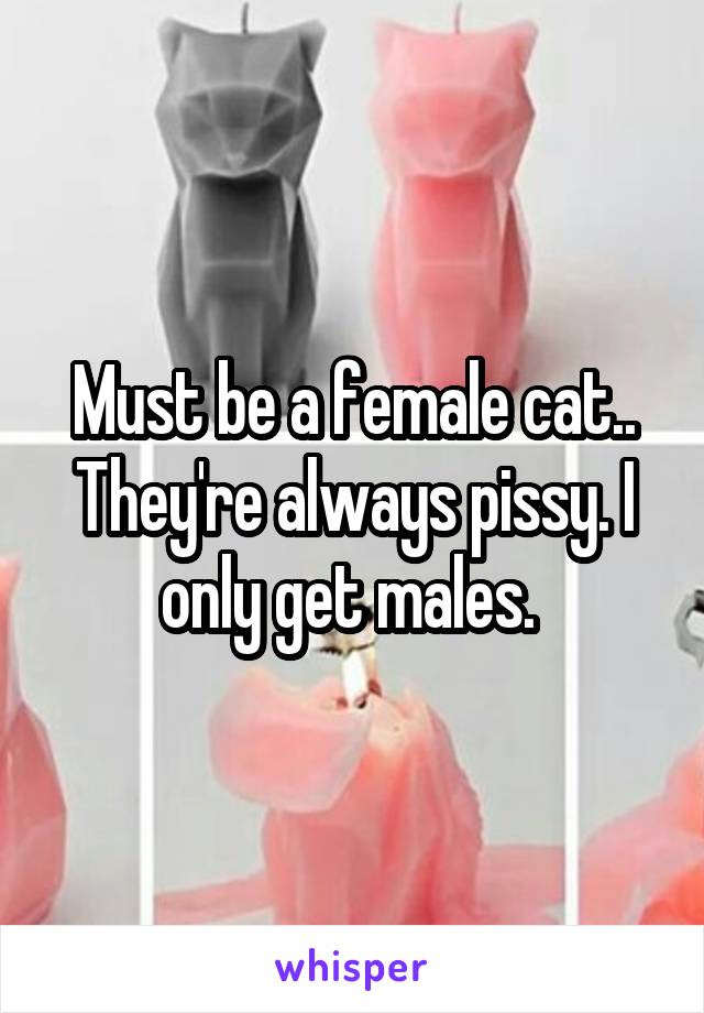 Must be a female cat.. They're always pissy. I only get males. 