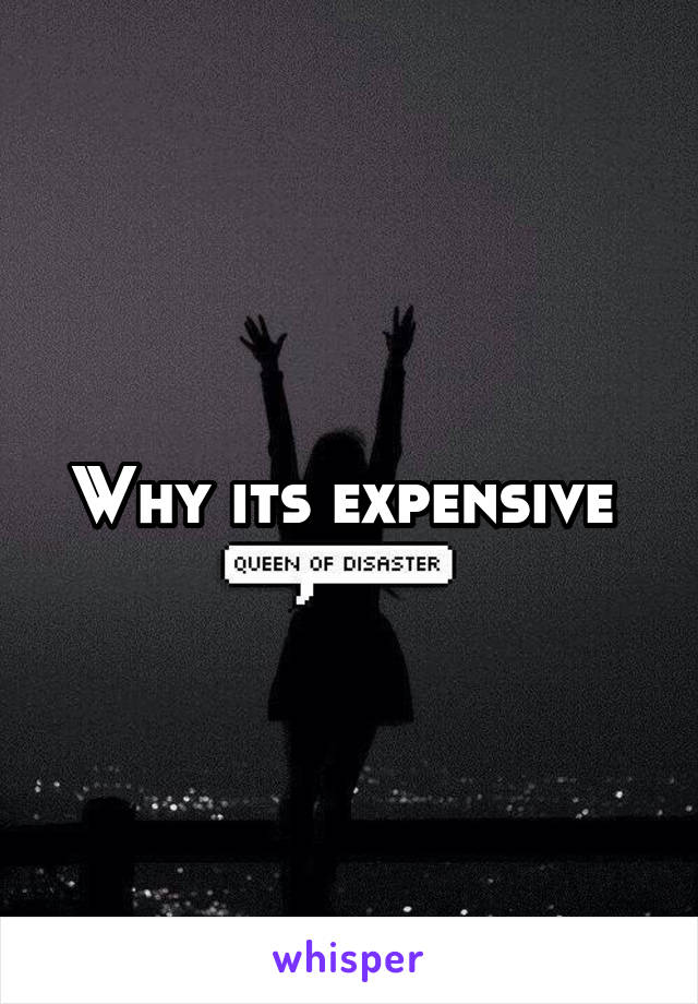 Why its expensive 