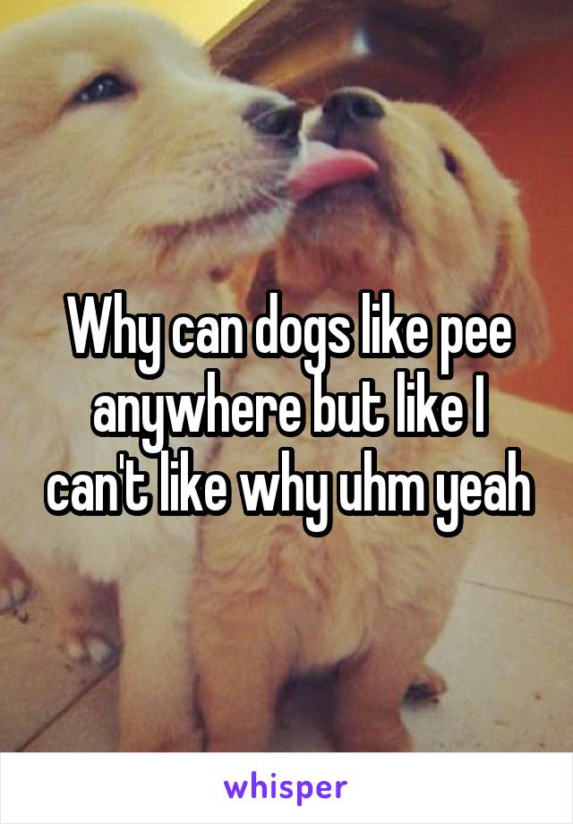 Why can dogs like pee anywhere but like I can't like why uhm yeah