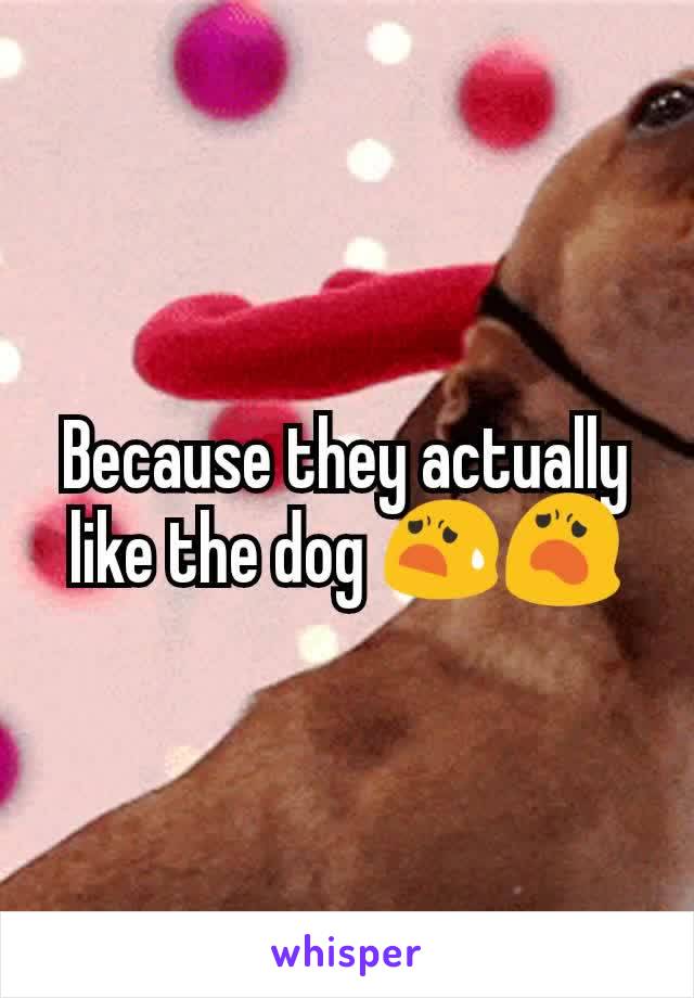 Because they actually like the dog 😧😦