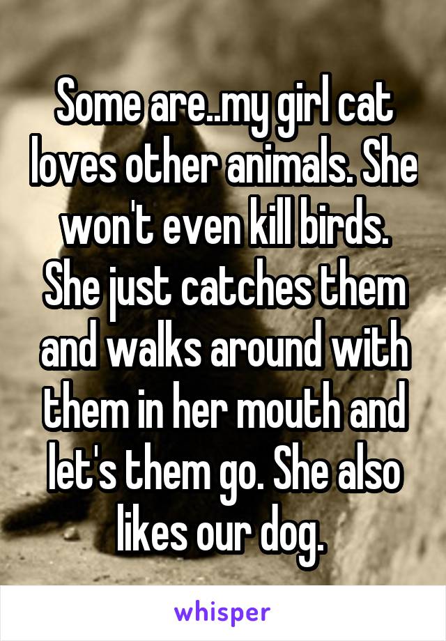 Some are..my girl cat loves other animals. She won't even kill birds. She just catches them and walks around with them in her mouth and let's them go. She also likes our dog. 