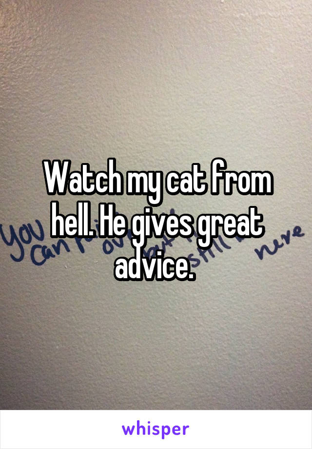 Watch my cat from hell. He gives great advice. 