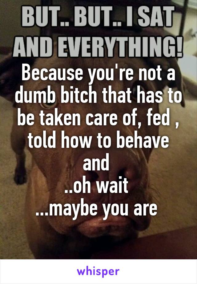 Because you're not a dumb bitch that has to be taken care of, fed , told how to behave and 
..oh wait 
...maybe you are 