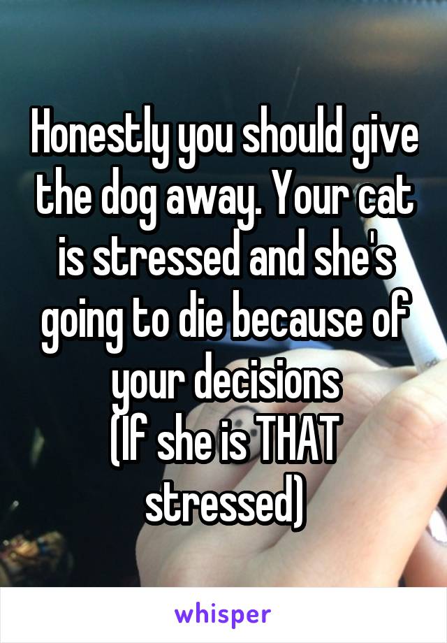 Honestly you should give the dog away. Your cat is stressed and she's going to die because of your decisions
(If she is THAT stressed)