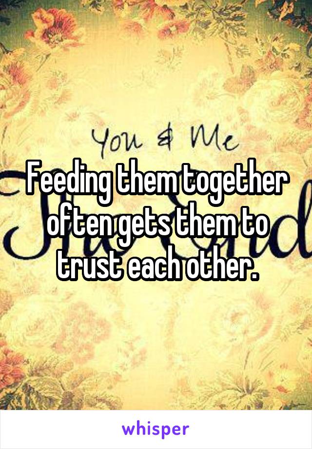 Feeding them together often gets them to trust each other.