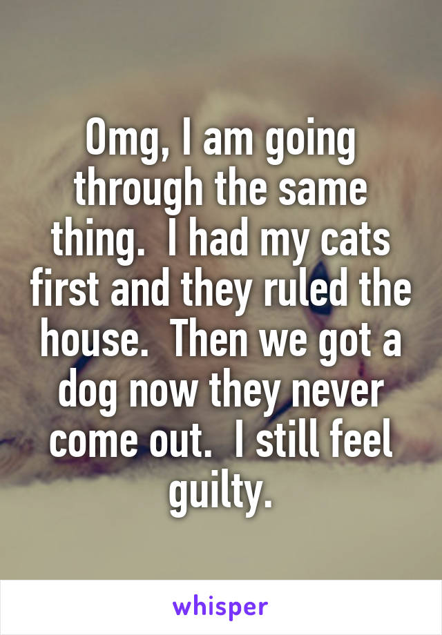 Omg, I am going through the same thing.  I had my cats first and they ruled the house.  Then we got a dog now they never come out.  I still feel guilty.