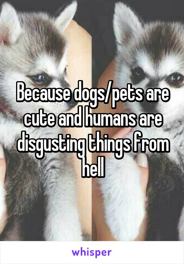Because dogs/pets are cute and humans are disgusting things from hell