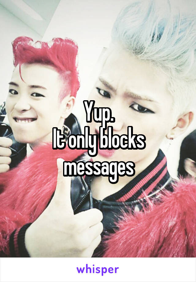 Yup.
It only blocks messages