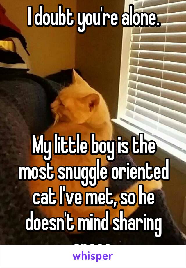 I doubt you're alone.




My little boy is the most snuggle oriented cat I've met, so he doesn't mind sharing space.