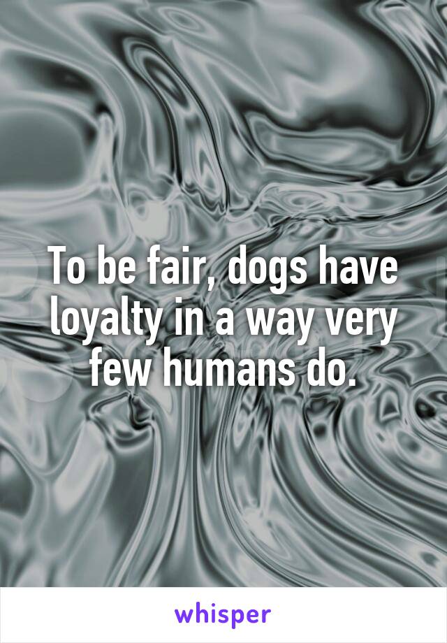 To be fair, dogs have loyalty in a way very few humans do.