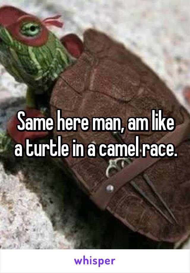 Same here man, am like a turtle in a camel race.