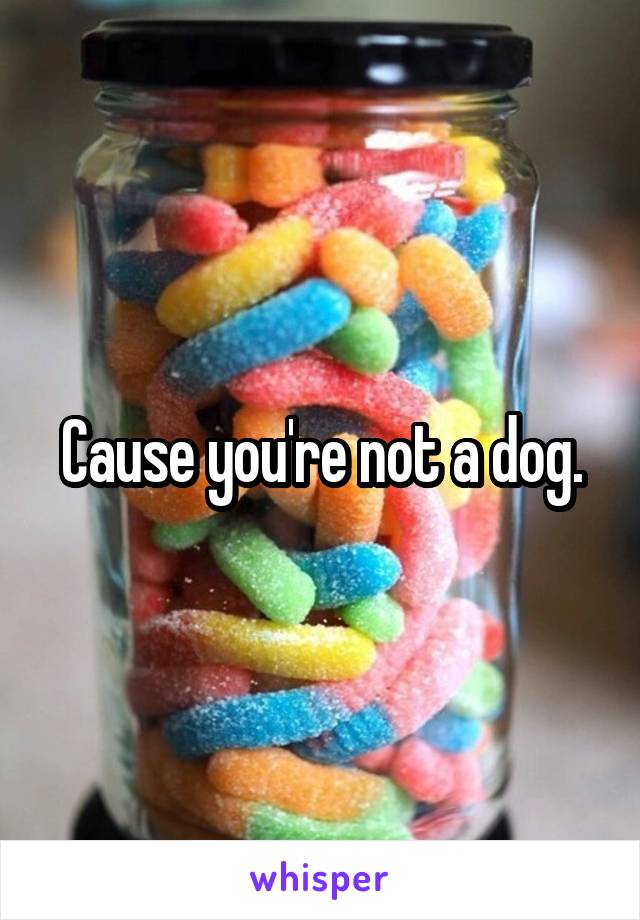 Cause you're not a dog.