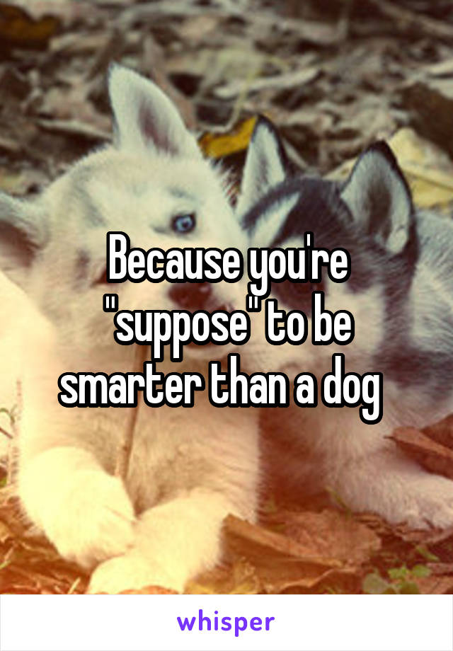 Because you're "suppose" to be smarter than a dog  
