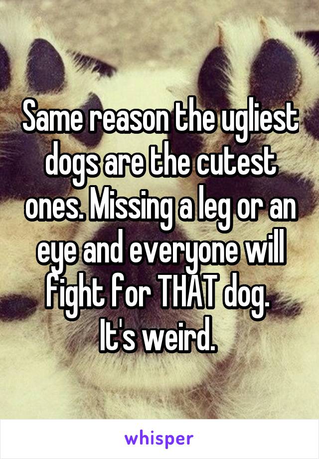 Same reason the ugliest dogs are the cutest ones. Missing a leg or an eye and everyone will fight for THAT dog. 
It's weird. 