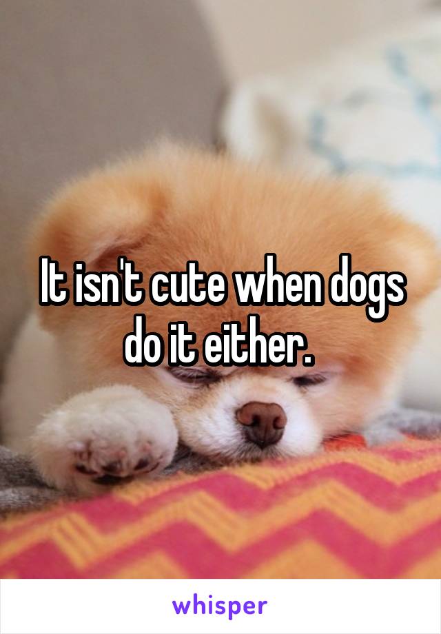 It isn't cute when dogs do it either. 