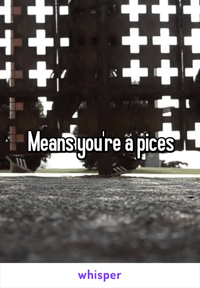 Means you're a pices