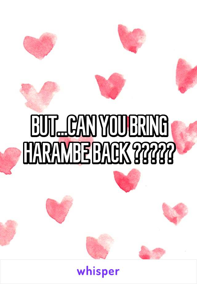 BUT...CAN YOU BRING HARAMBE BACK ?????