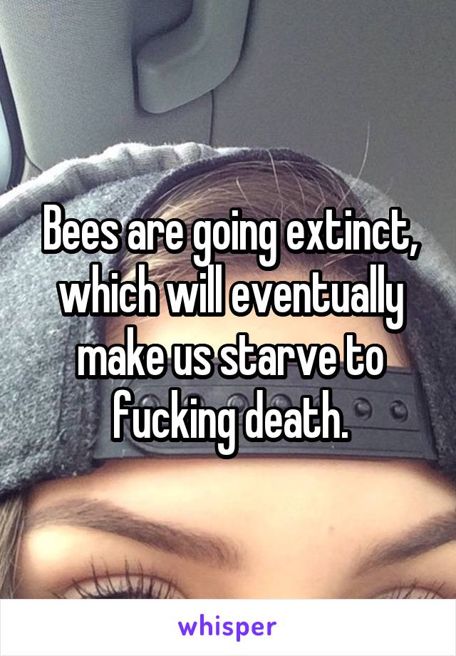 Bees are going extinct, which will eventually make us starve to fucking death.