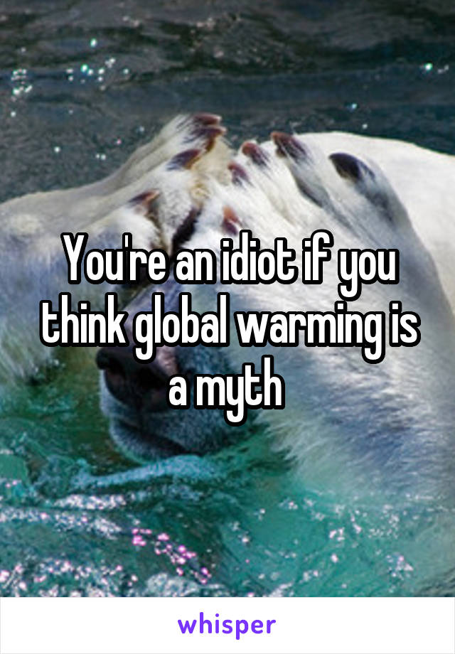 You're an idiot if you think global warming is a myth 