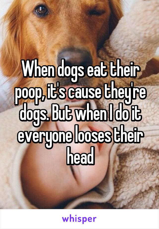 When dogs eat their poop, it's cause they're dogs. But when I do it everyone looses their head
