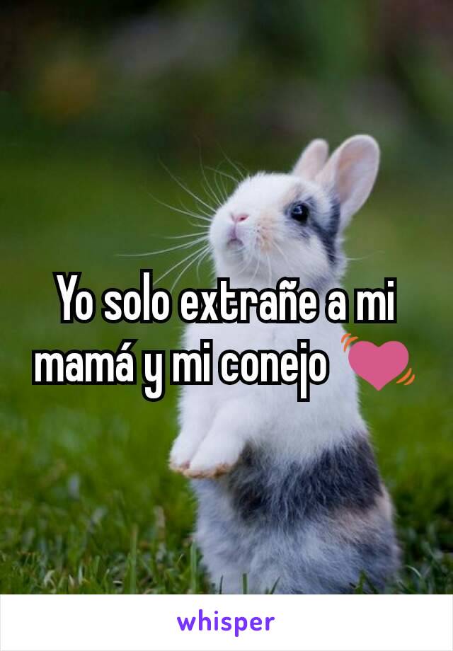 Yo solo extrañe a mi mamá y mi conejo 💓