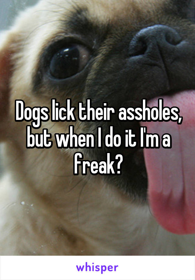 Dogs lick their assholes, but when I do it I'm a freak?