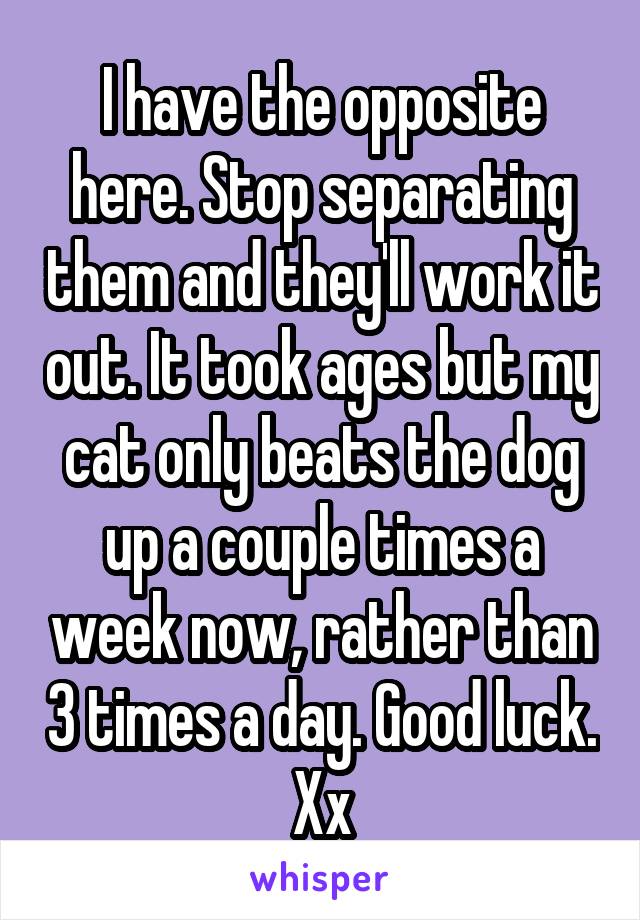 I have the opposite here. Stop separating them and they'll work it out. It took ages but my cat only beats the dog up a couple times a week now, rather than 3 times a day. Good luck. Xx