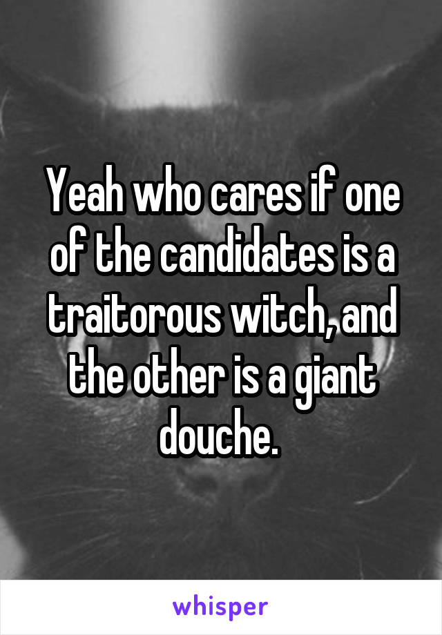 Yeah who cares if one of the candidates is a traitorous witch, and the other is a giant douche. 