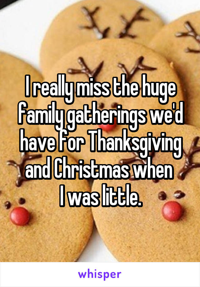 I really miss the huge family gatherings we'd have for Thanksgiving and Christmas when 
I was little.