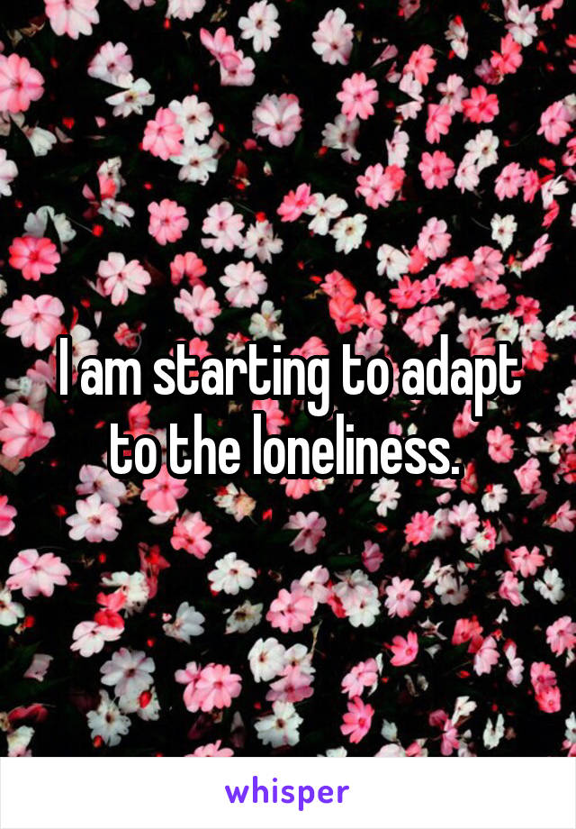 I am starting to adapt to the loneliness. 