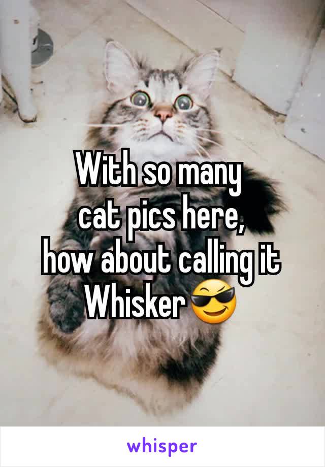 With so many 
 cat pics here, 
how about calling it
Whisker😎