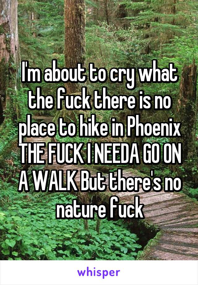 I'm about to cry what the fuck there is no place to hike in Phoenix THE FUCK I NEEDA GO ON A WALK But there's no nature fuck