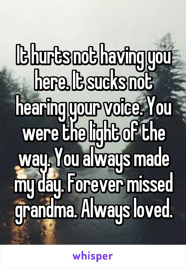 It hurts not having you here. It sucks not hearing your voice. You were the light of the way. You always made my day. Forever missed grandma. Always loved.