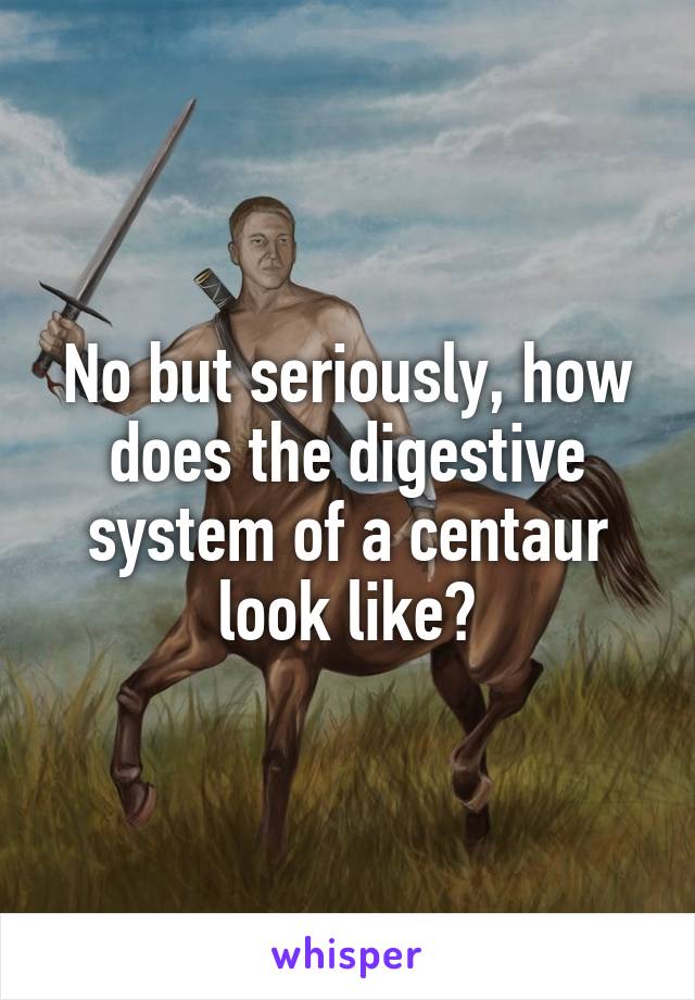 No but seriously, how does the digestive system of a centaur look like?