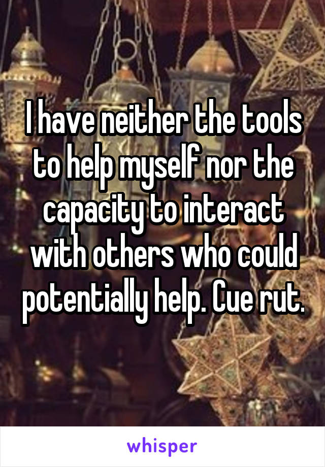 I have neither the tools to help myself nor the capacity to interact with others who could potentially help. Cue rut. 
