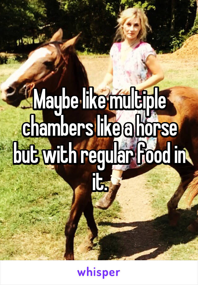 Maybe like multiple chambers like a horse but with regular food in it.