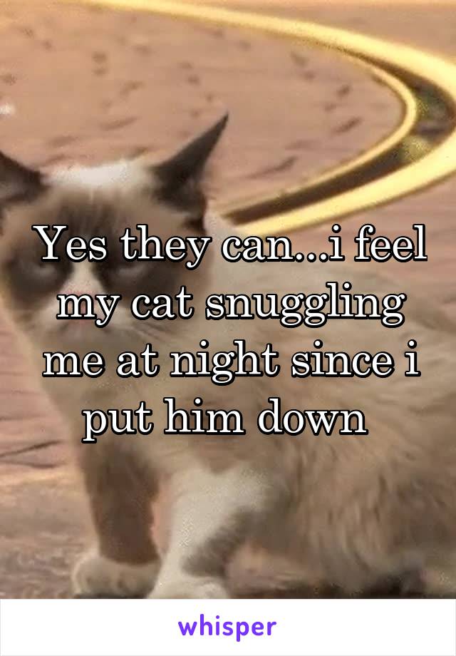Yes they can...i feel my cat snuggling me at night since i put him down 