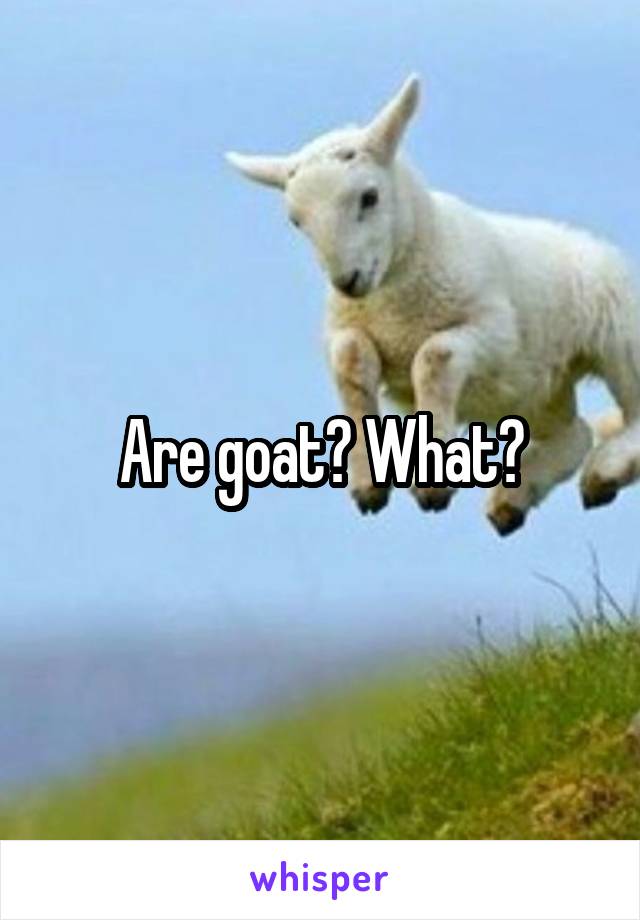 Are goat? What?